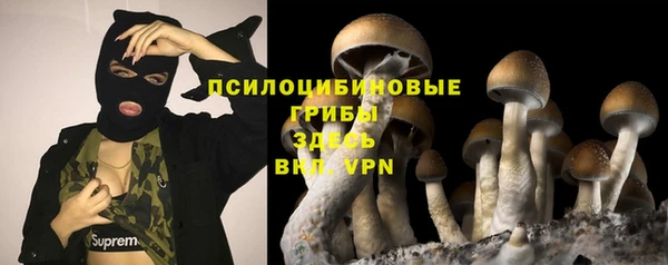 молекула духа Алзамай
