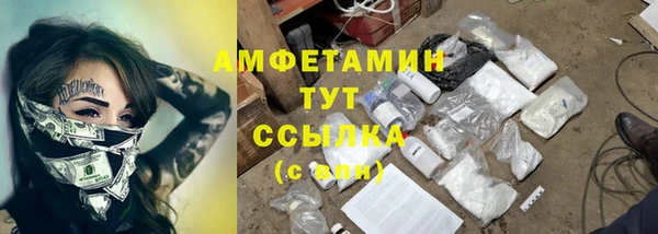 молекула духа Алзамай